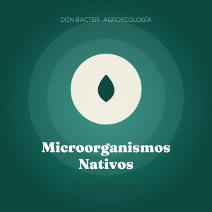 Microorganismos Nativos Líquidos 1L